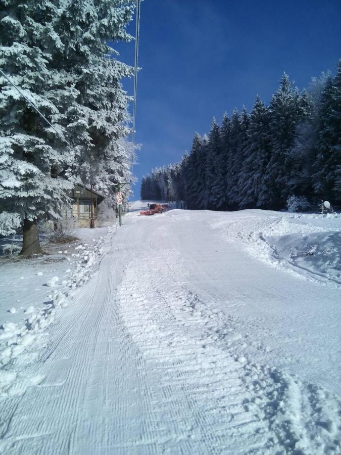 Hotel Svratka Bagian luar foto